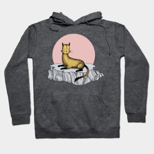 Sunbather Hoodie